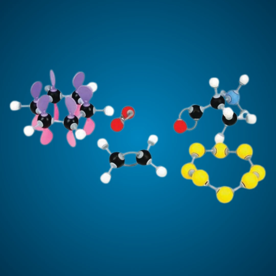 Molecular Model Set - Organic Stereo Chemistry Set - Teacher