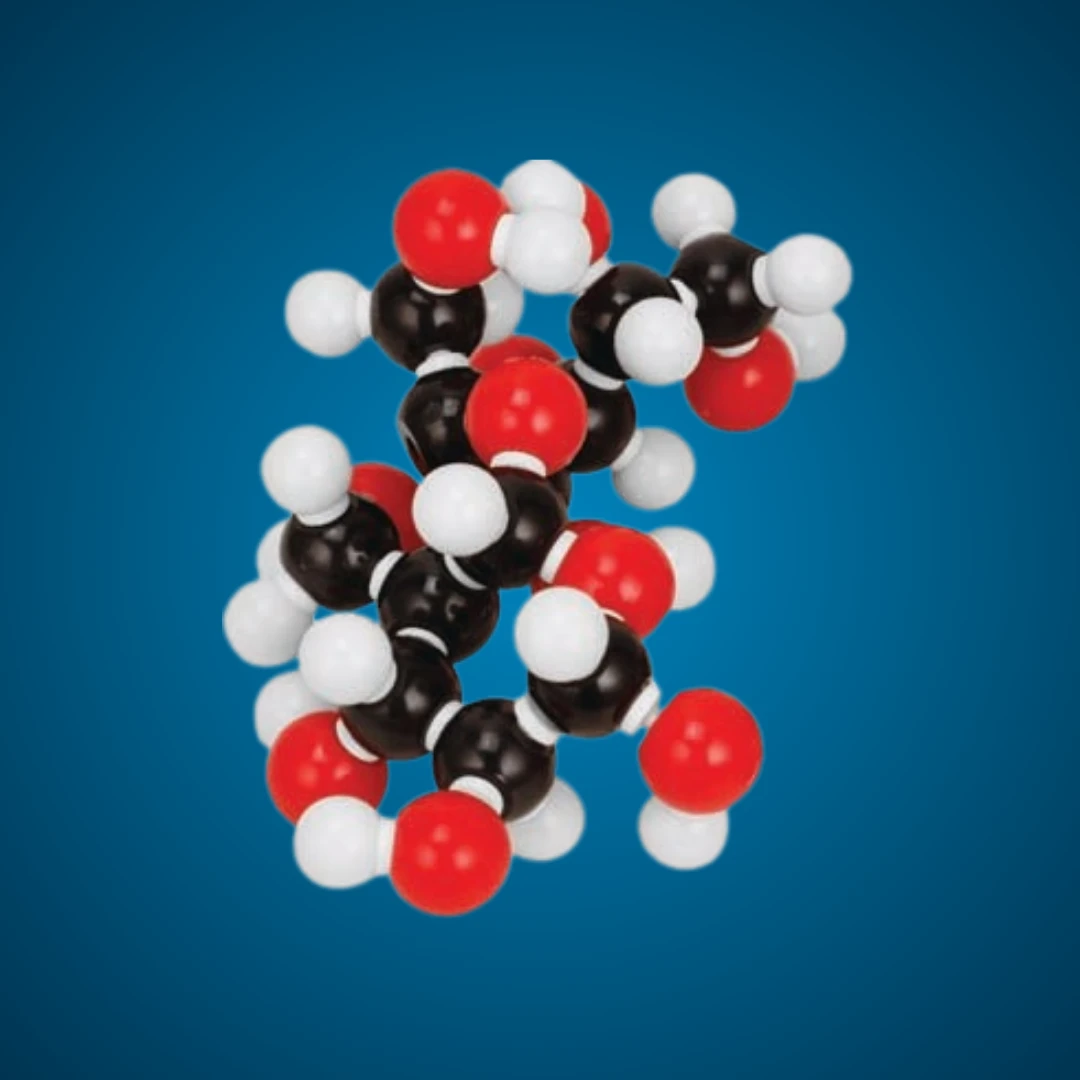 Molecular Model Set - Sucrose (C₁₂H₂₂O₁₁)